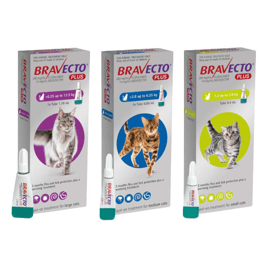 Bravecto Plus Gatos - Tu Antiparasitario Veterinario