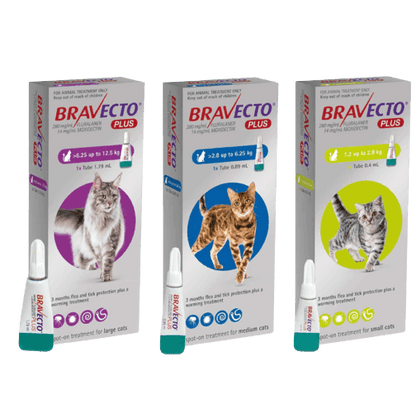 Bravecto Plus Gatos - Tu Antiparasitario Veterinario