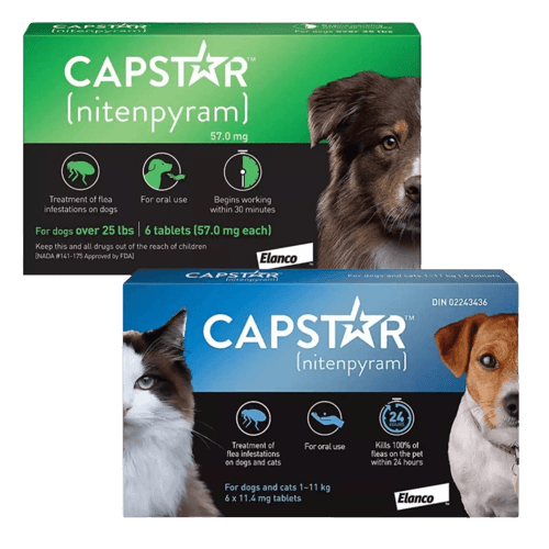 Capstar - Tu Antiparasitario Veterinario