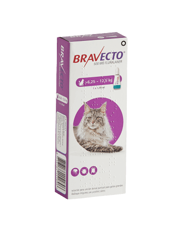 Bravecto Plus Gatos - Tu Antiparasitario Veterinario