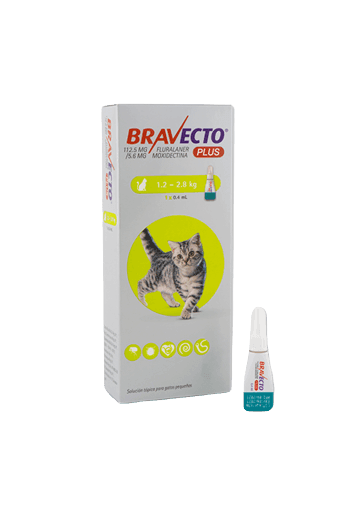 Bravecto Plus Gatos - Tu Antiparasitario Veterinario