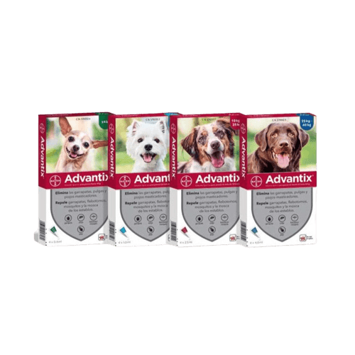 Advantix Pipetas para Perros - Tu Antiparasitario Veterinario