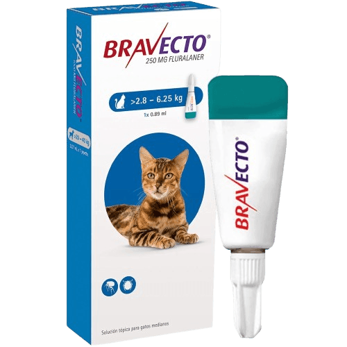 Bravecto Gatos Spot-On