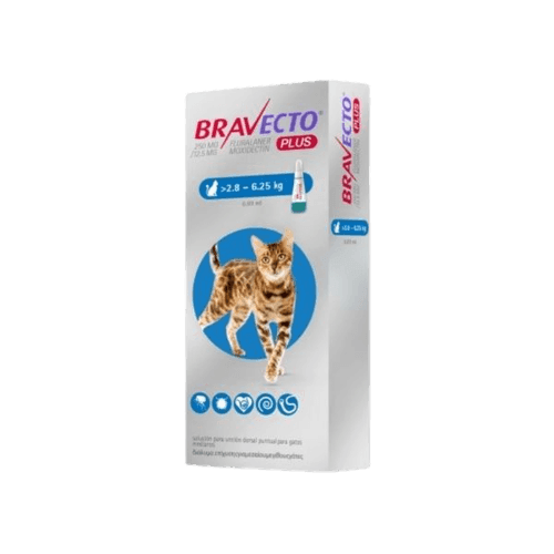 Bravecto Plus Gatos - Tu Antiparasitario Veterinario