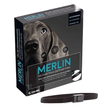 Merlin Collar 65cm