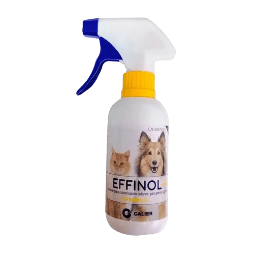 Effinol Spray 500 ML