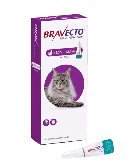 Bravecto Gatos Spot-On