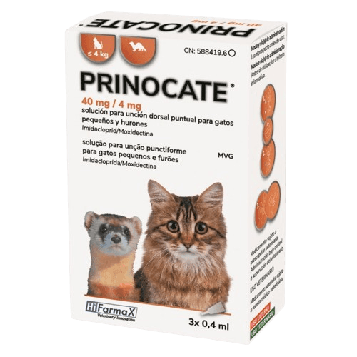 Prinocate Gatos